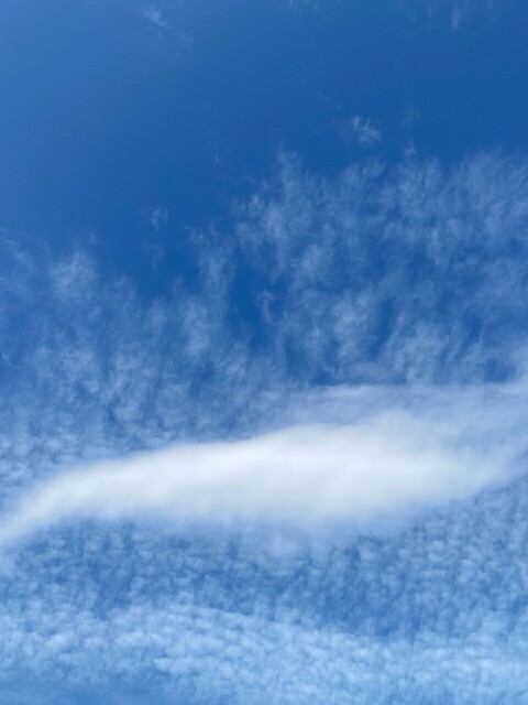20231226_第323回_Everything is inside yourself.jpg
